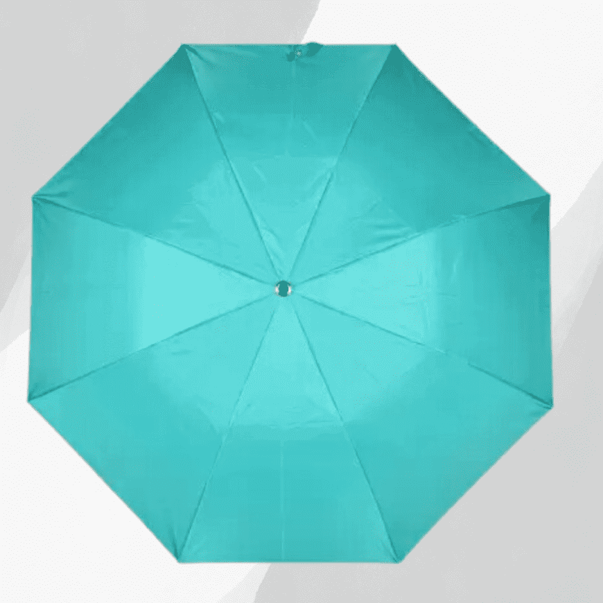 Folding Umbrella ( 2fold)