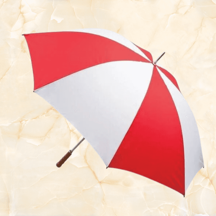 Long Umbrella BTBR Kargil - Image 2